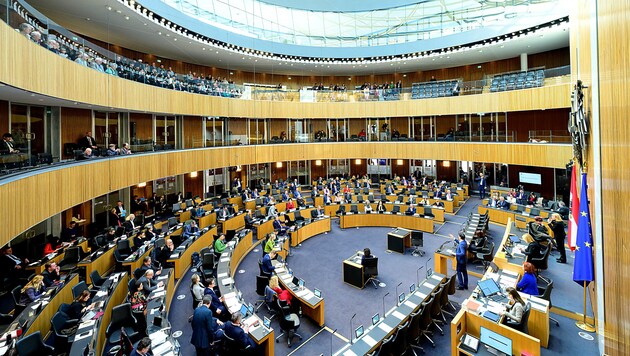 The National Council at the beginning of the year (Bild: APA/MAX SLOVENCIK)