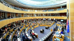 Gegen die Stimmen der NEOS und der FPÖ wurde das neue Gesetz beschlossen. (Bild: APA/MAX SLOVENCIK)