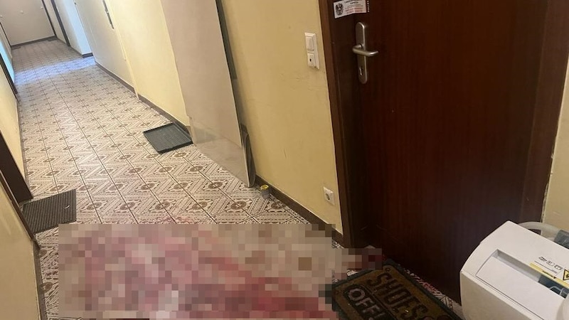 Das Opfer wurde vor seiner Wohnungstür mit mehreren Messerstichen getötet. (Bild: Uta Rojsek-Wiedergut, Krone KREATIV)