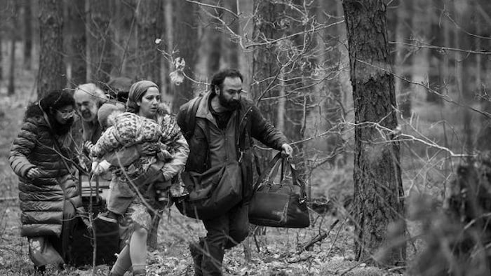 Ab sofort im Kino: „Green Border“.