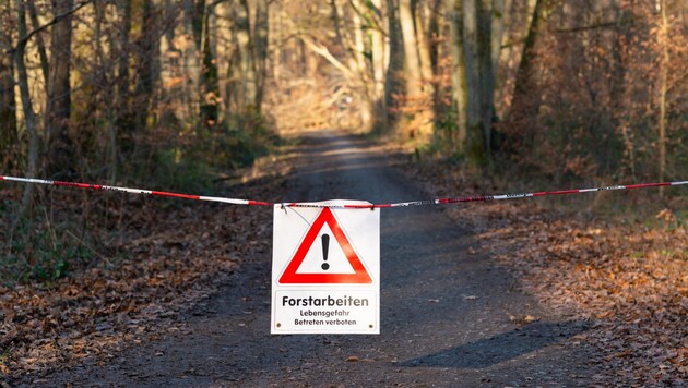 Od začátku roku došlo ve Štýrsku k několika smrtelným lesním nehodám. (Bild: Robin Städtler, stock.adobe.com (Symbolbild))