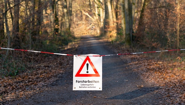 In der Steiermark ist es seit Jahresbeginn zu einigen tödlichen Forstunfällen gekommen. (Bild: Robin Städtler, stock.adobe.com (Symbolbild))