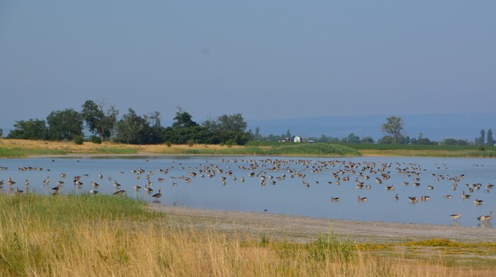 Einige Lacken funktionieren noch gut, aber der Großteil braucht Hilfe.