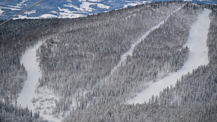 The Hochficht ski resort in the Bohemian Forest became the scene of a crime on Saturday night.