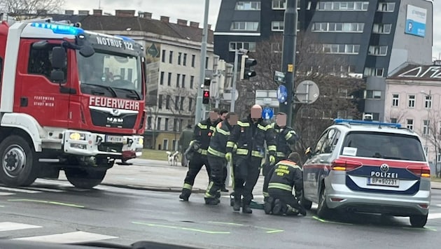 Fortunately, only one tire of the police car was damaged in the accident. (Bild: Martina Münzer, Krone KREATIV)