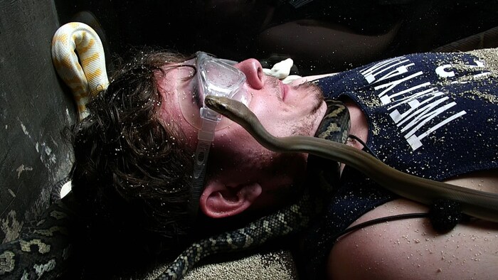 Tim muss in einer Grube Schlangen ertragen.