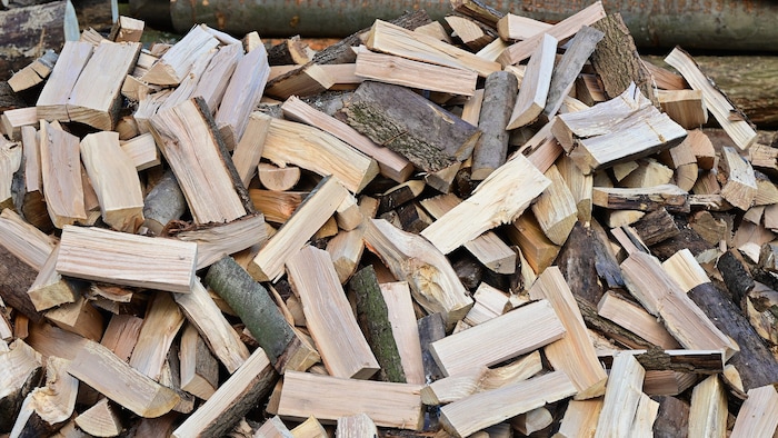 The perpetrator is said to have beaten the victim to death with a log.