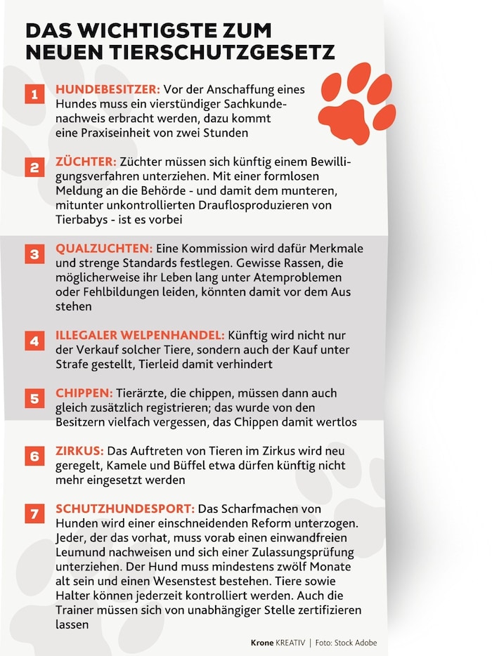 Zusammenfassung der Neuerungen im Tierschutzgesetz