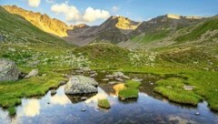 Auch 40 Jahre nach Österreichs Beitritt zur Ramsar-Konvention, dem internationalen Abkommen zum Schutz von Feuchtgebieten, ist der Handlungsbedarf groß.  (Bild: Sebastian Frölich)