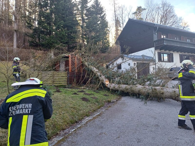 Sturmschaden Kleinmariazell (Bild: Freiwillige Feuerwehr Altenmarkt a.d.Triesting)