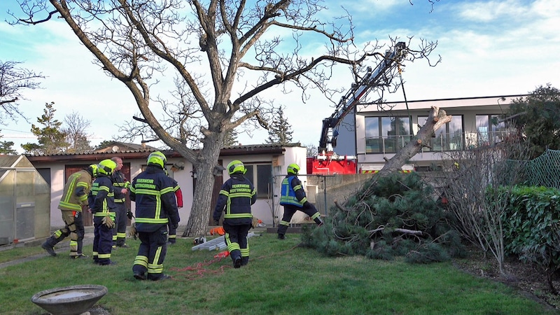 Sturmschaden in Kottingbrunn (Bild: Stefan Schneider BFKDO BADEN www.bfkdo-baden.com)