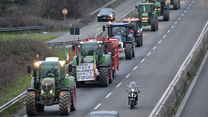 Traktoren auf dem Weg Richtung Rom (Bild: APA/AFP/Andreas SOLARO)