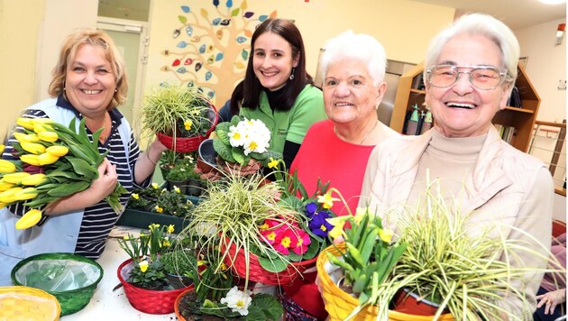 Blumen schenken Freude - auch im Hülgerthpark. (Bild: Rojsek-Wiedergut Uta)