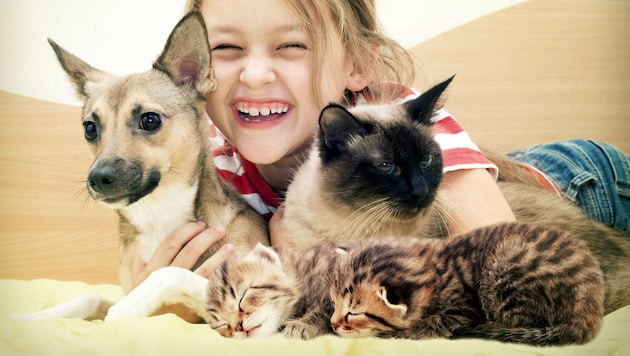 Wer kümmert sich besonders gut um Hund, Katze, Igel und Co.? Bitte vor den Vorhang! (Bild: stock.adobe.com - Happy monkey)