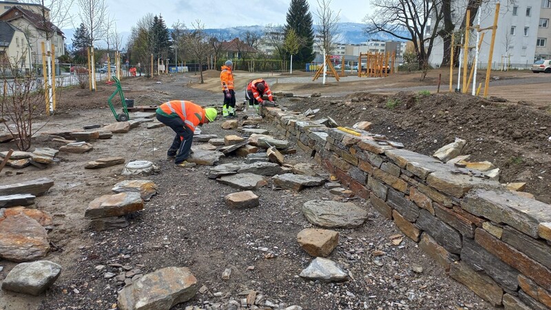 Die Trockenmauer wurde im Grünen Eck Perau angelegt (Bild: Stadt Villach)