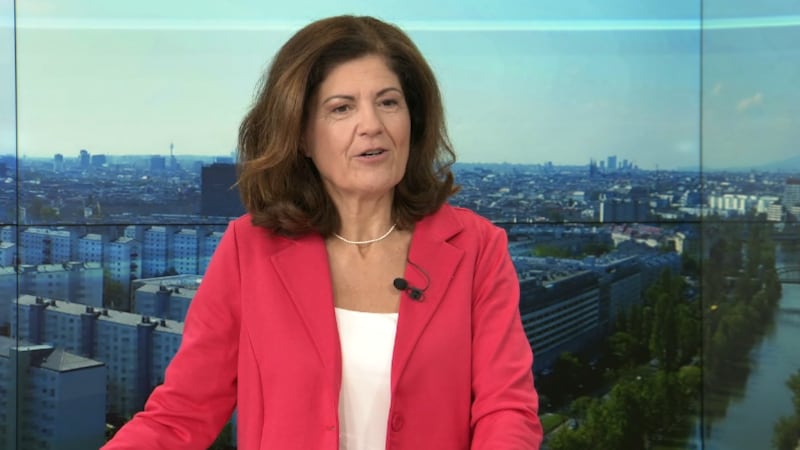 Christine Hackl, renommierte Psychologin und Autorin im krone.tv (Bild: krone.tv)