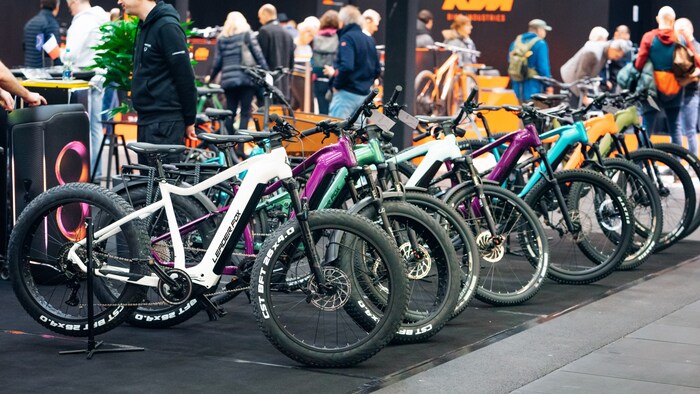 Leader Fox ist eine tschechische E-Bike-Marke, die Räder im Mittelklasse-Segment anbietet.