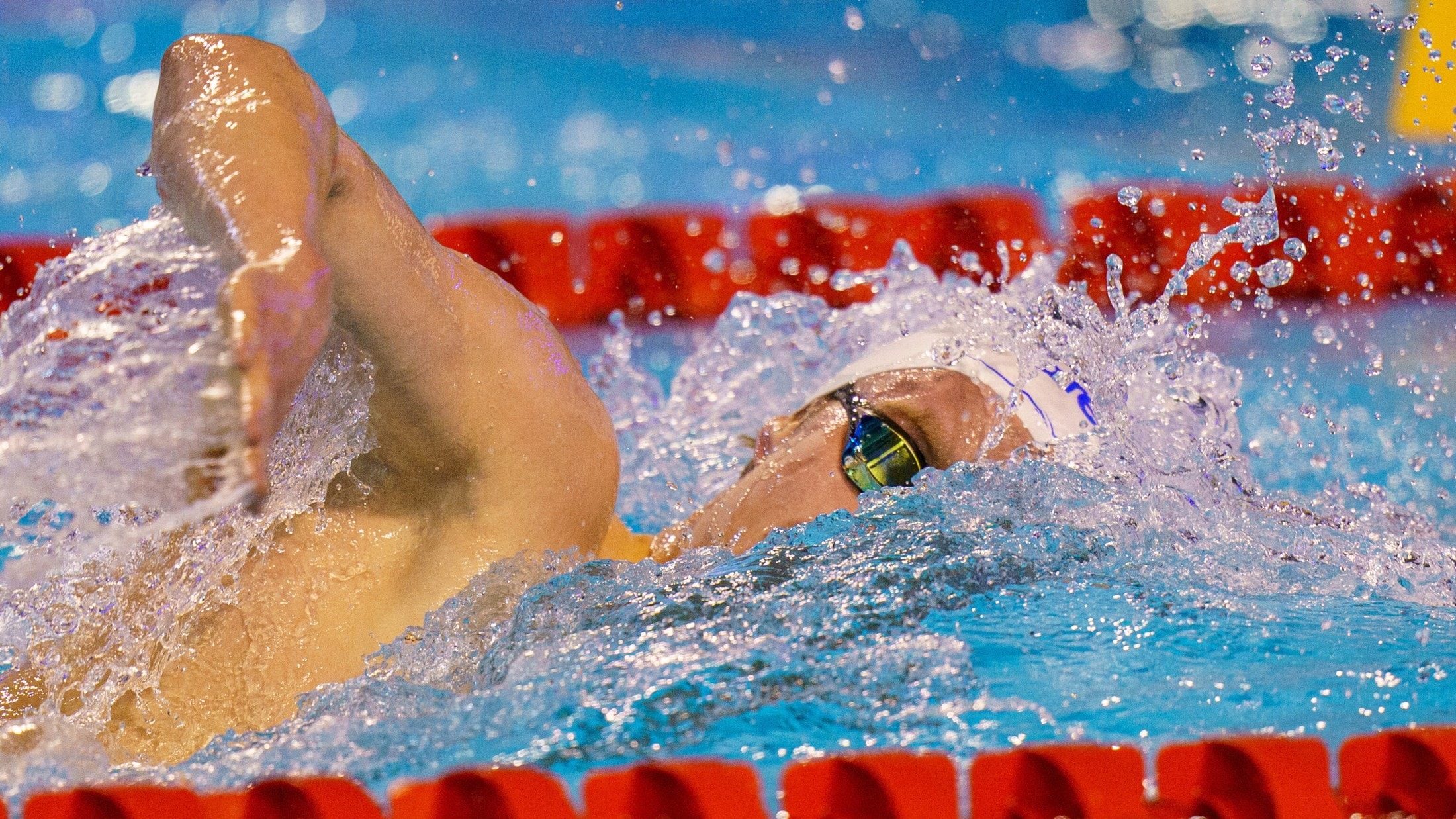 Bei Schwimm-WM - OSV-Team schwimmt in Doha um Olympia-Teilnahmen | krone.at
