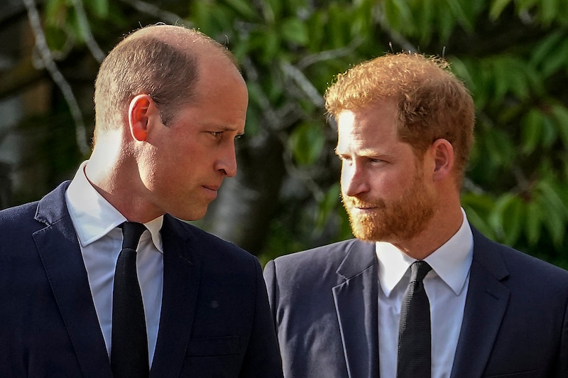 The relationship between Prince William and Prince Harry is considered strained. A meeting between the brothers has long been on the cards. (Bild: APA/ Martin Meissner)