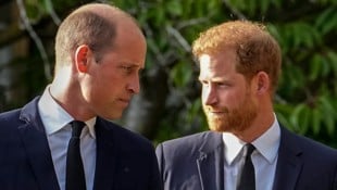 Prinz William und Prinz Harry haben seit Jahren ein angespanntes Verhältnis und sollen keinen Kontakt haben. (Bild: APA/ Martin Meissner)