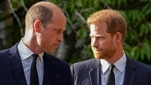 Prince William and Prince Harry have had a strained relationship for years and are said to have no contact. (Bild: APA/ Martin Meissner)