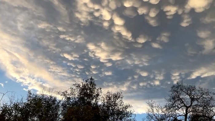 Chmury mammatus (zdjęcie) są czasami obserwowane na grzbietach burz i zwykle znikają po ...