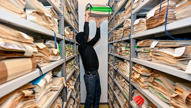 Es schaut aus wie in einer Bibliothek, aber in den Mappen liegen Millionen Blätter und Blüten: „Das werden noch mehr“, sagt Christian Bräuchler.  (Bild: Dostal Harald)