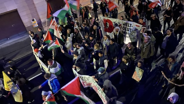 Pro-Palestine activists at the Opernball counter-demonstration (Bild: krone.tv)