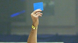 Kommt bald die Blaue Karte?