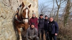 v.l.n.r.: Pferd Tim mit Besitzer Matthias Weiländer (vorne), Stadtamtsdirektorin Annemarie Bauer, Bauhofleiter-Stv. Josef Stickelberger, Lukman Syla und Bauhofleiter Josef Thoma. (Bild: Stadtgemeinde Neulengbach)