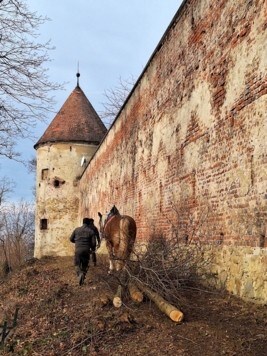 (Bild: Stadtgemeinde Neulengbach)