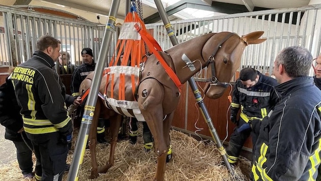 Nové zařízení bylo testováno s realistickou figurínou koně. (Bild: Pressestelle FF Laxenburg)