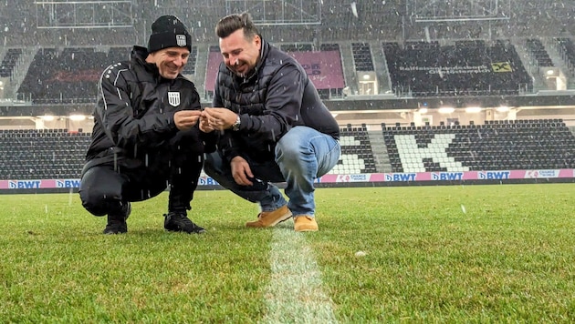 Head-Greenkeeper Harald Faldner und GlobalGreen-CEO Daniel Kallinger am nachhaltigen Rasen in der Raiffeisen Arena. (Bild: GlobalGreen)