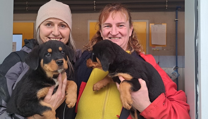 Andrea Specht (li., Tierheim Krems) und Gabi Artner (Tierheim Baden) kümmerten sich um die sechs ...