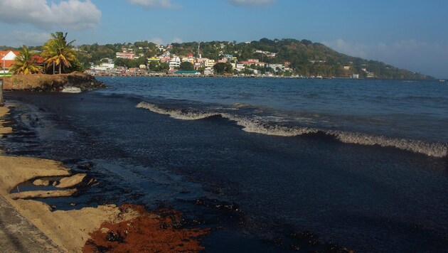 More than a thousand volunteers are working to remove oil from already polluted beaches. (Bild: AFP/Clement Williams)