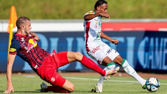 Pavlovic (left) will probably leave Salzburg. 