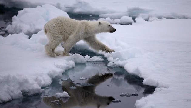 Die Eisschmelze eröffnet Seewege und legt Bodenschätze zutage.  (Bild: © Jiri Rezac / Greenpeace)