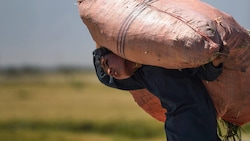 Durch das EU-Lieferkettengesetz soll Kinder- und Zwangsarbeit eingedämmt werden.  (Bild: AFP)
