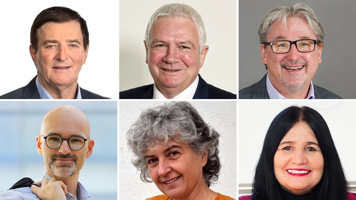 Günter Goach, Manfred Mischelin, Christian Struger (oben v.l.), Roland Ressmann, Cristina Tamas ...