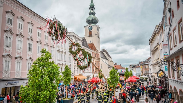 Das Aufstellen des Maibaums ist auch in Wels ein großes und beliebtes Fest. Im Vorfeld der Traditionsveranstaltung im Stadtteil Vogelweide fliegen nun aber die Fetzen. (Bild: Wenzel Markus)