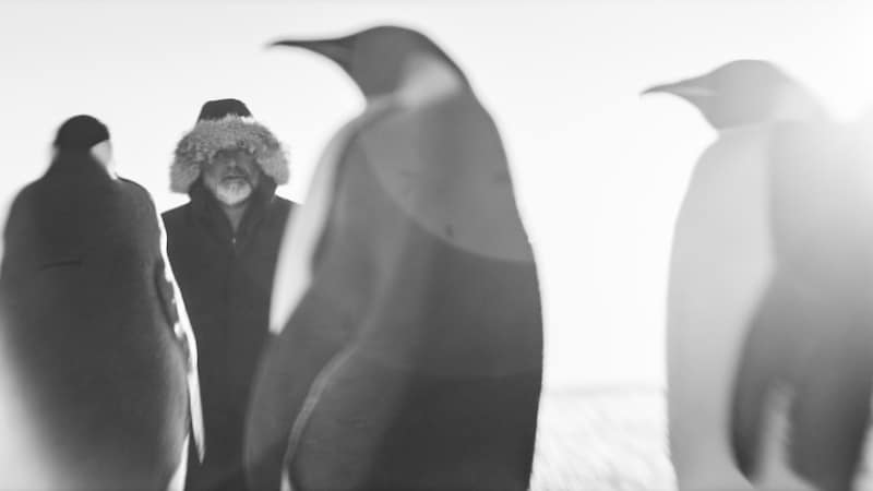 Der Pinguin-Flüsterer: Luc Jacquet in seinem neuen Naturfilm. (Bild: Paprika Films/Luc Jacquet)