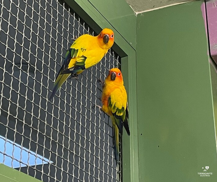 "Sunny" and "Happy"
