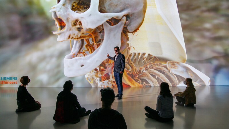 Reise in den Körper des Menschen im Ars Electronica Center (Bild: Robert Bauernhansl)