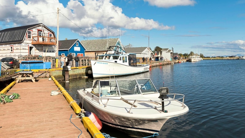 Hafenidylle in Nova Scotia (Bild: Peter Grotter)