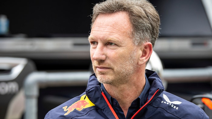 Horner había "prometido todo el tiempo que no había nada de eso". También dijo en un comunicado ...