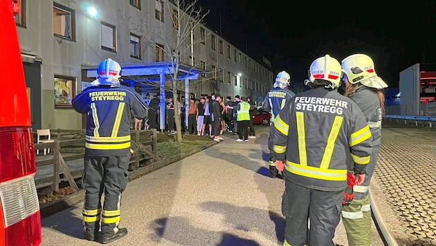 Florianis were obstructed during an operation in Steyregg (Upper Austria). (Bild: FF Steyregg)