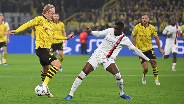 Julian Brandt (li.) (Bild: GEPA pictures)