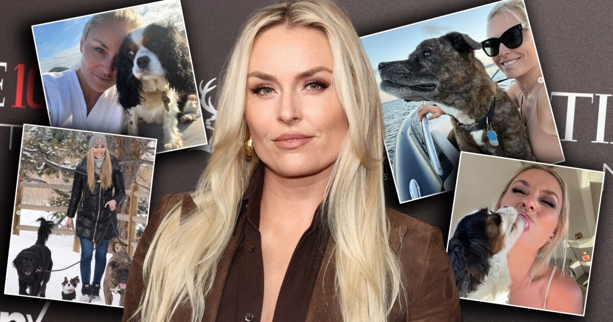Love Letter to Dogs – Lindsey Vonn's cute animal valentine!