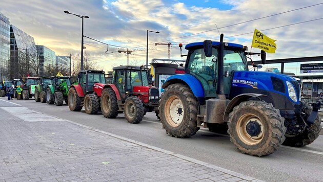 Bauern fuhren mit ihren Traktoren direkt vor dem Europa-Parlament in Straßburg auf. Sagartz: „Kann den Unmut der Landwirte verstehen.“ (Bild: Karl Grammer)