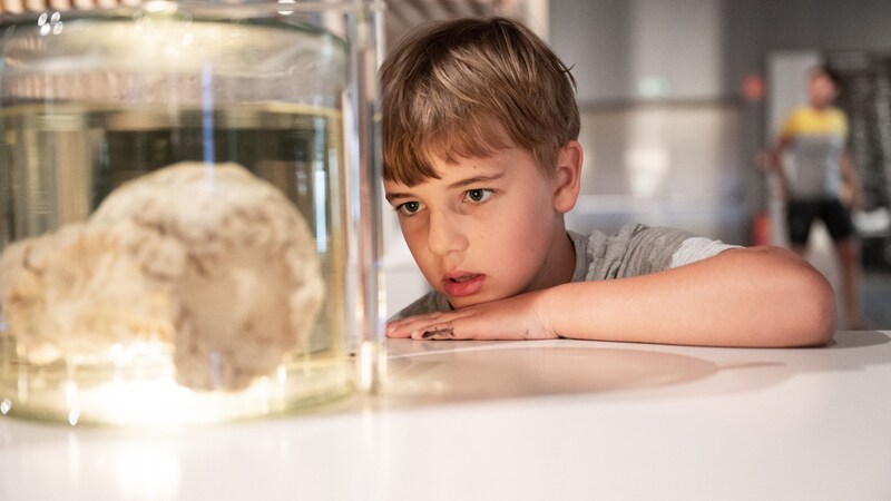 Im Linzer Ars Electronica Center gibt es zahlreiche Workshops - auch im Deep Space wartet ein spezielles Programm auf Familien. (Bild: Ars Electronica / Birgit Cakir)